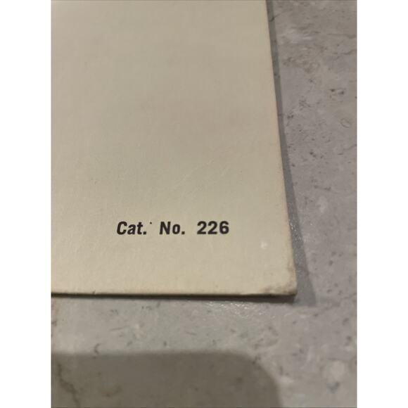 Vintage Robert Laessig Signed Lithography Floral Art Yellow Iris Flowers 15x6 - Picture 9 of 10